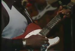Muddy Waters at Molde Jazz festival (1977).